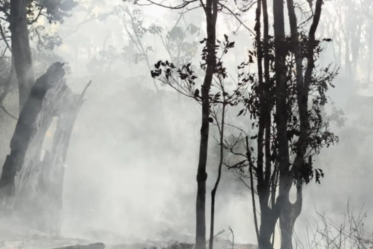 Bara Api jadi Perhatian, Gunung Panderman Belum Boleh Didaki