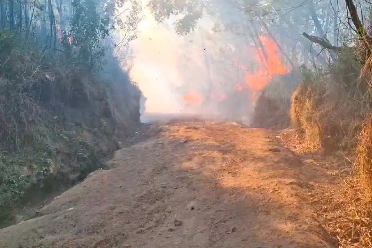 Karhutla Terjadi Jalur Pendakian Kawah Ijen Bondowoso&Banyuwangi