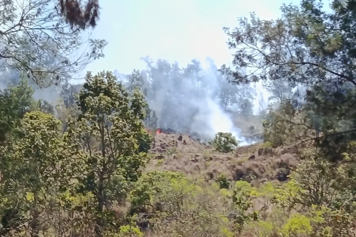 Kebakaran Hutan Meluas, Kawah Ijen Ditutup Total hingga Batas Waktu Belum Ditentukan