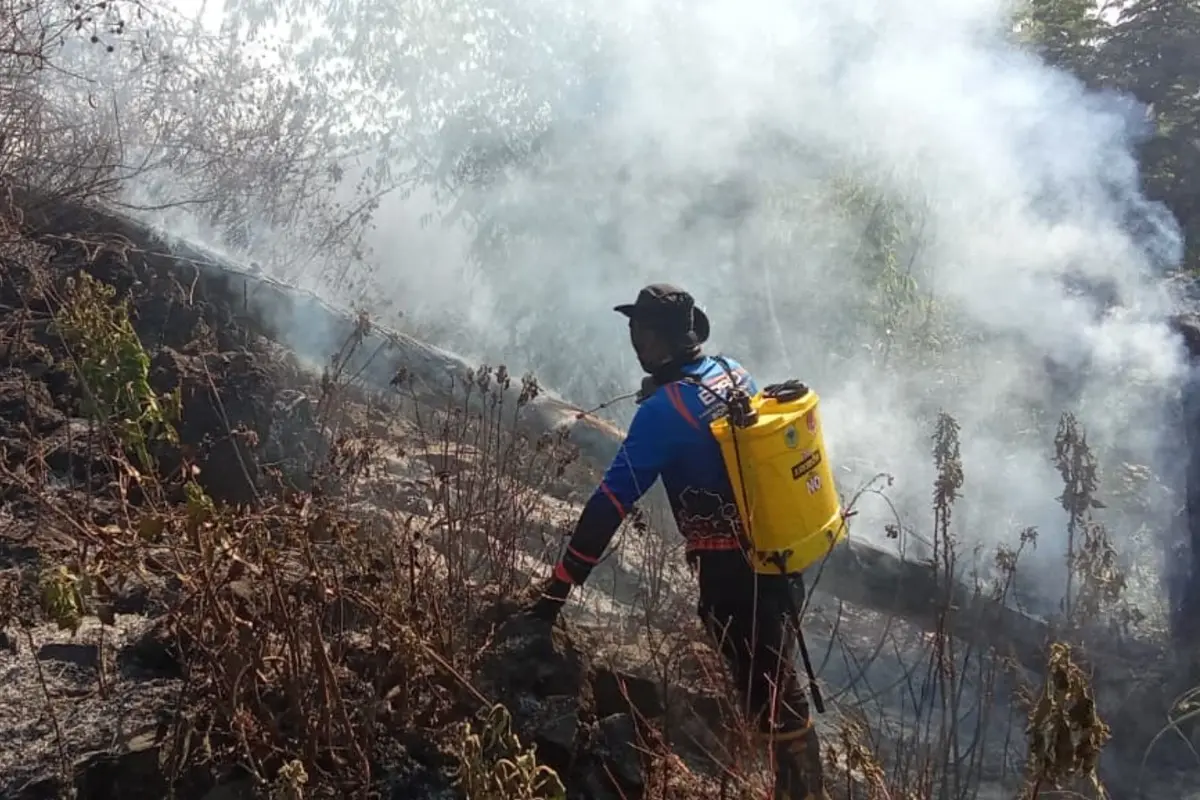 Kebakaran Melanda Situs Ijen Geopark Black Lava Plalangan Bondowoso