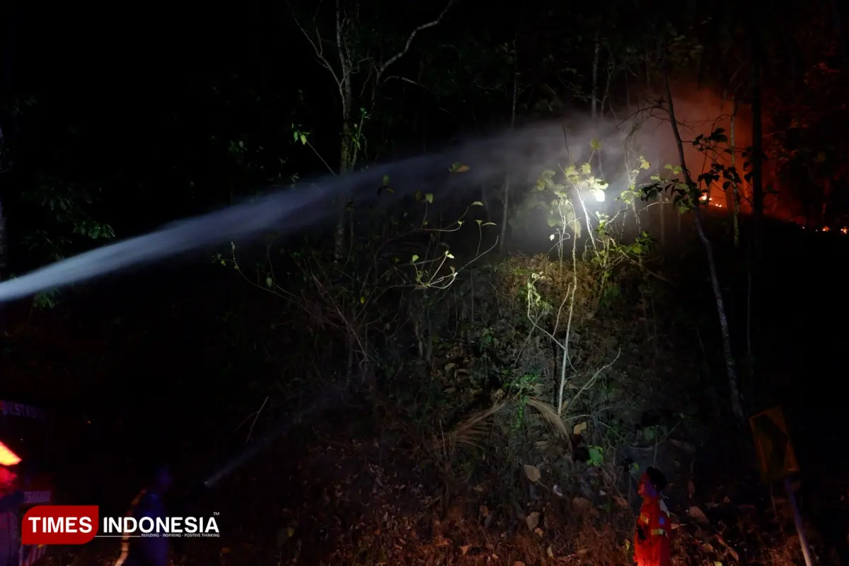 Bukan Faktor Alam, Ini Biang Kerok Meroketnya Karhutla Pacitan hingga 542 Persen