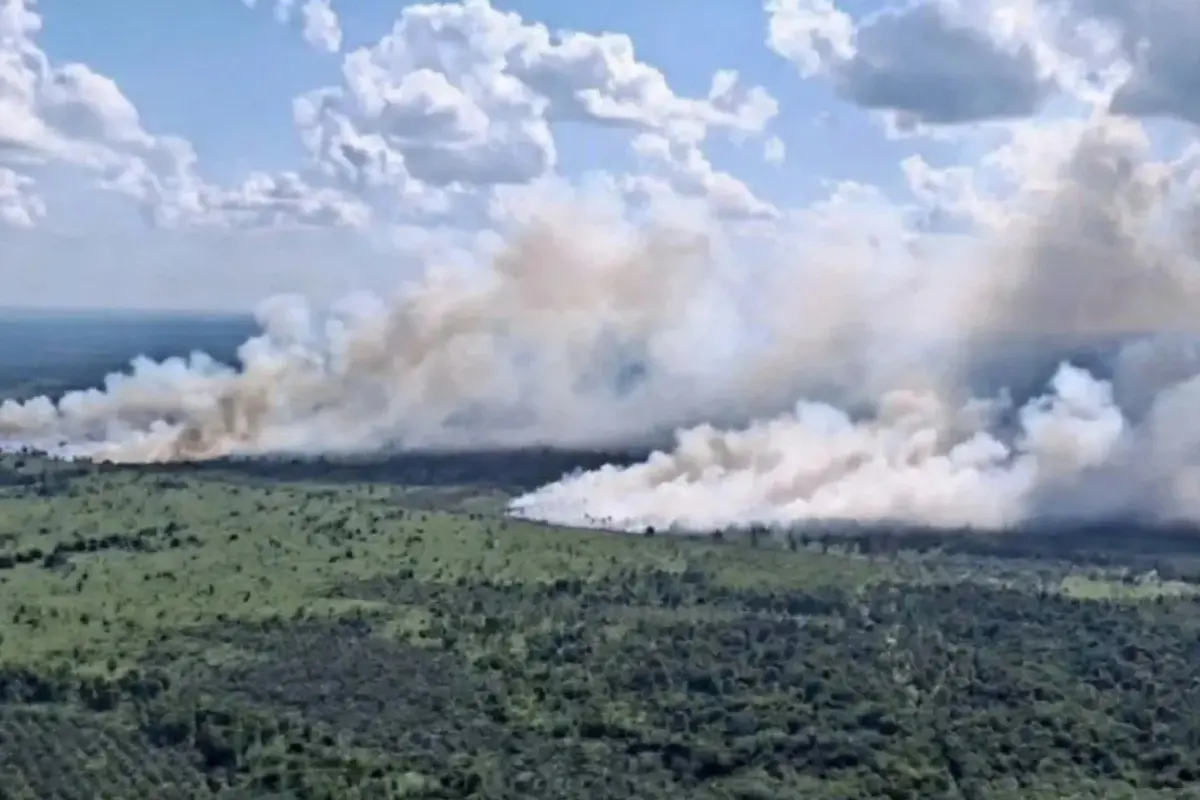 Api Dekati Jalur Sutet, BNPB Terjunkan Helikopter Water Bombing di Kotim