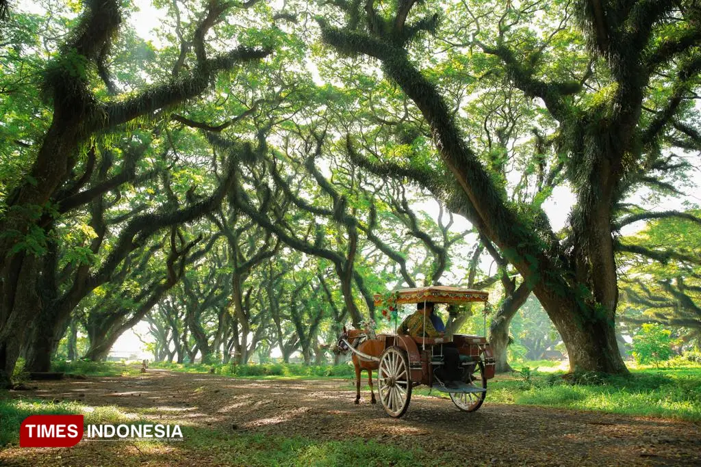 hutan De Djawatan Banyuwangi