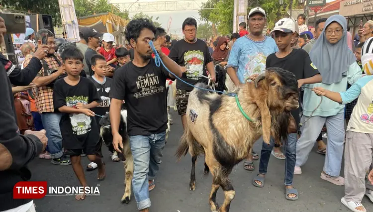 Para peternak saat lari bersama kambing mereka sebelum disembelih