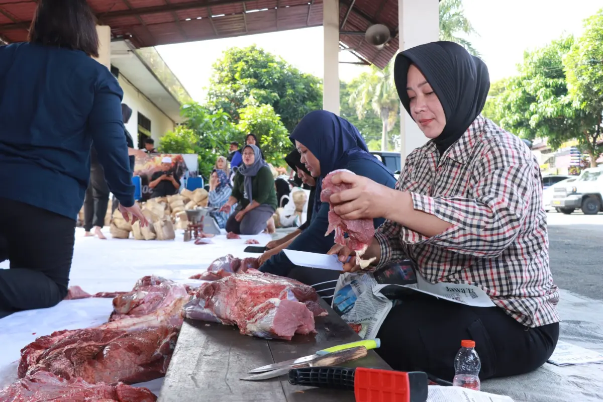 daging kurban
