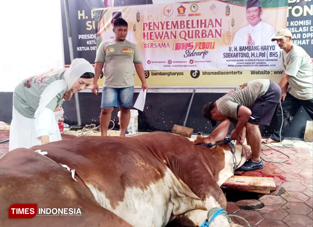 kurban DPR RI Bambang Haryo 2