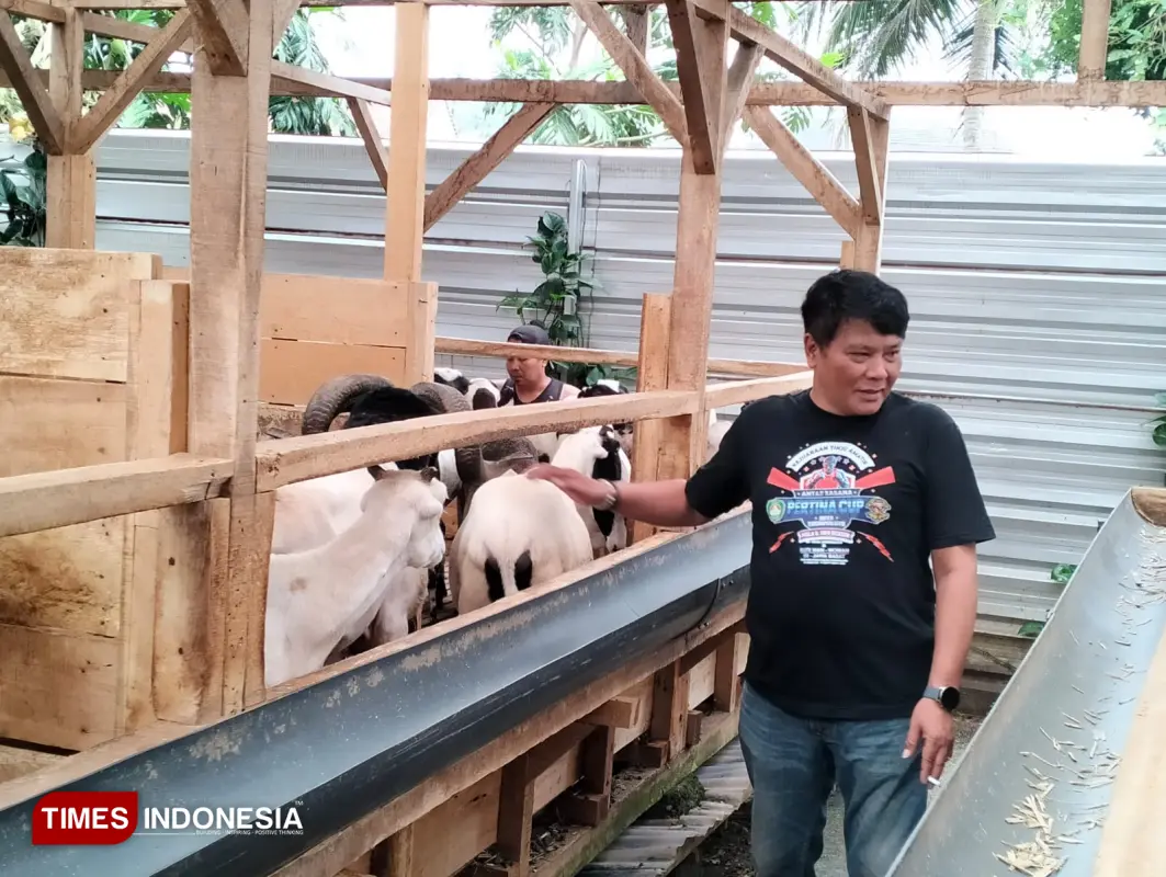 Peternakan Domba Tasikmalaya