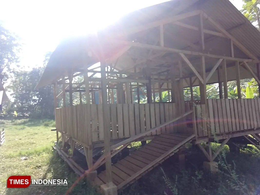 Kandang