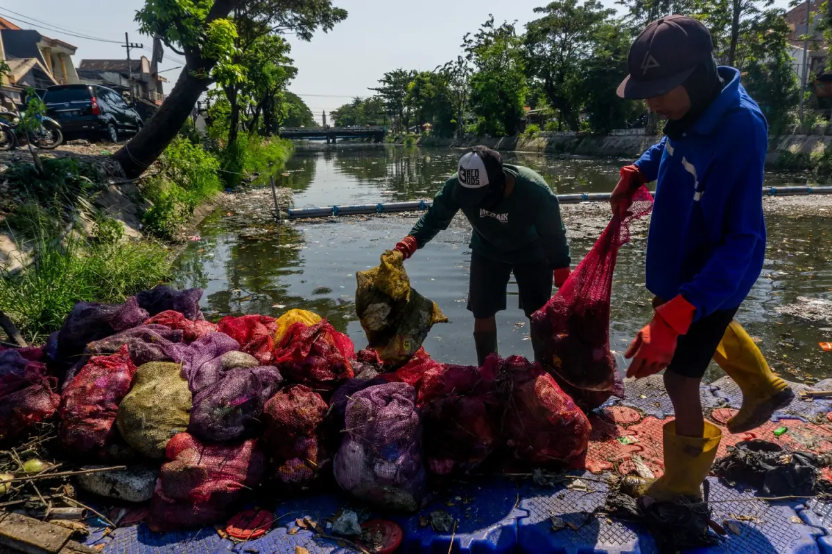 sampah