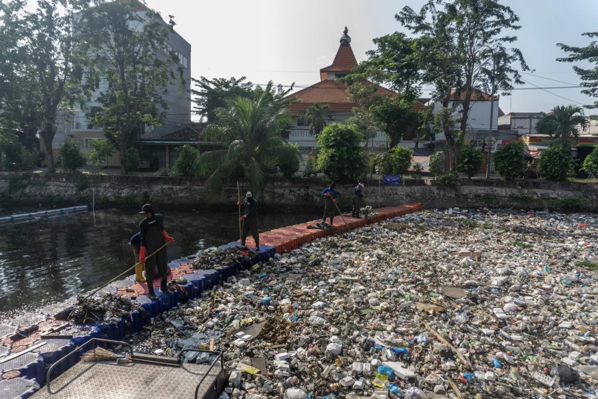 sampah