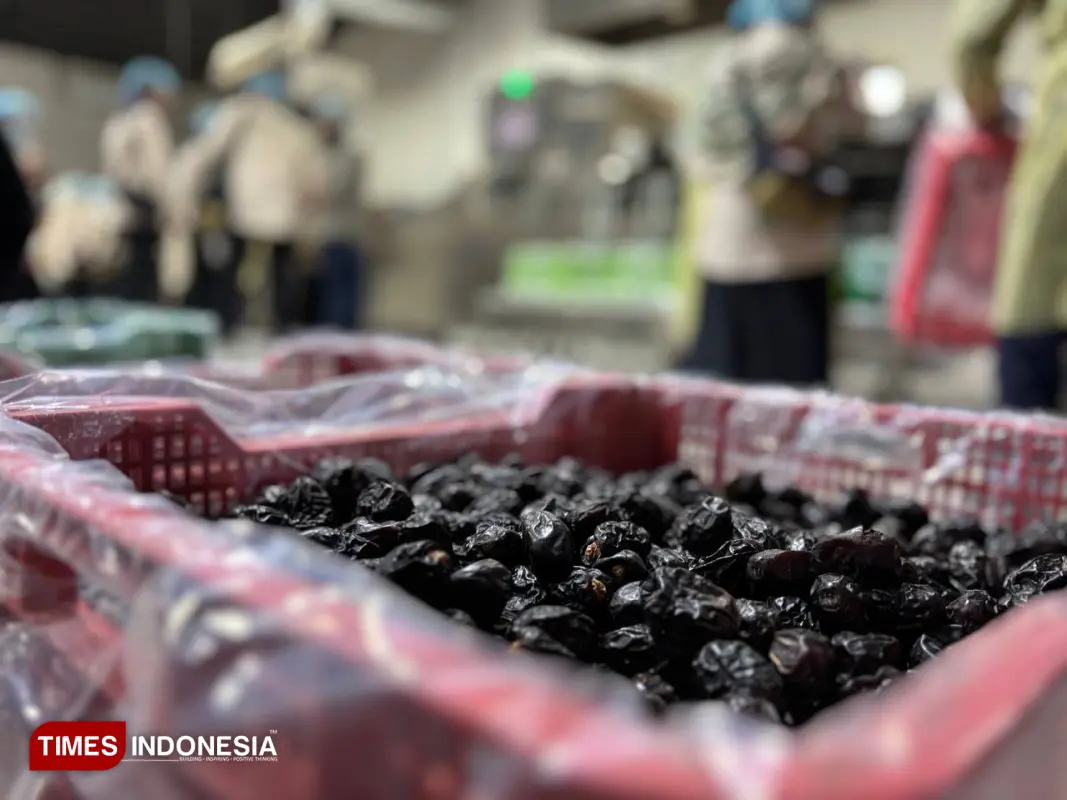 Pohon kurma 2