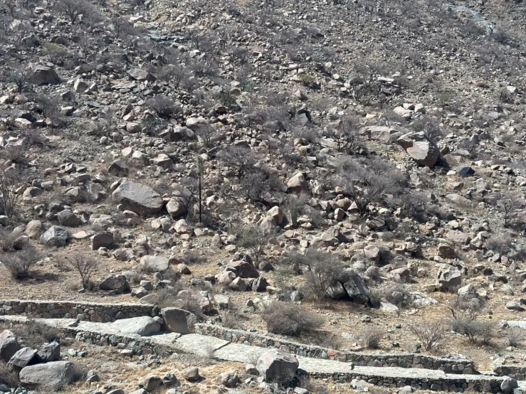 Taif 2
