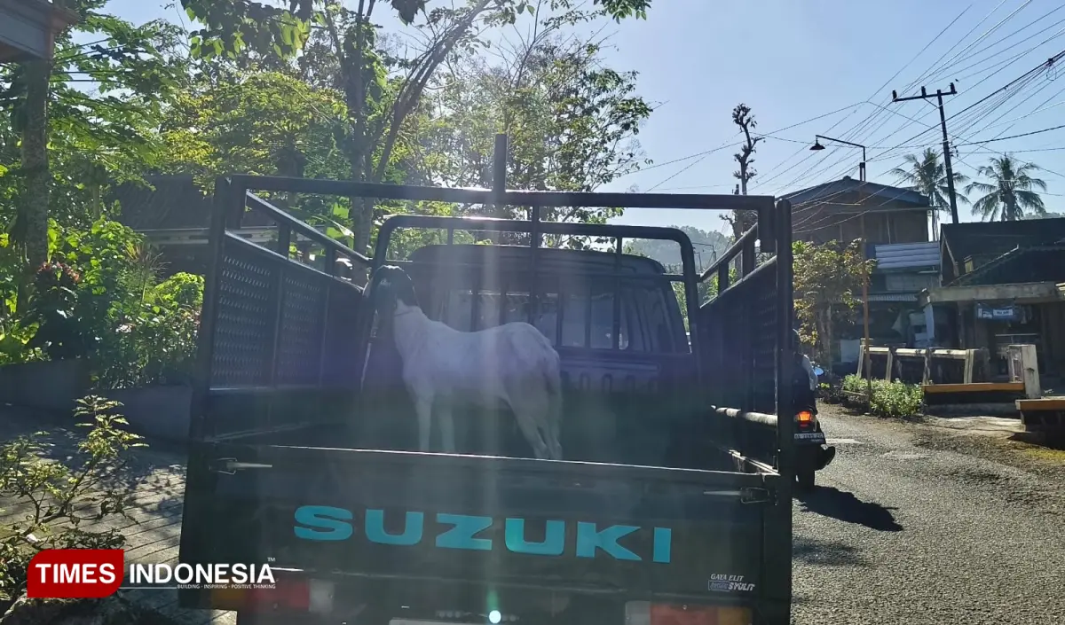 Pasar hewan Pacitan 2