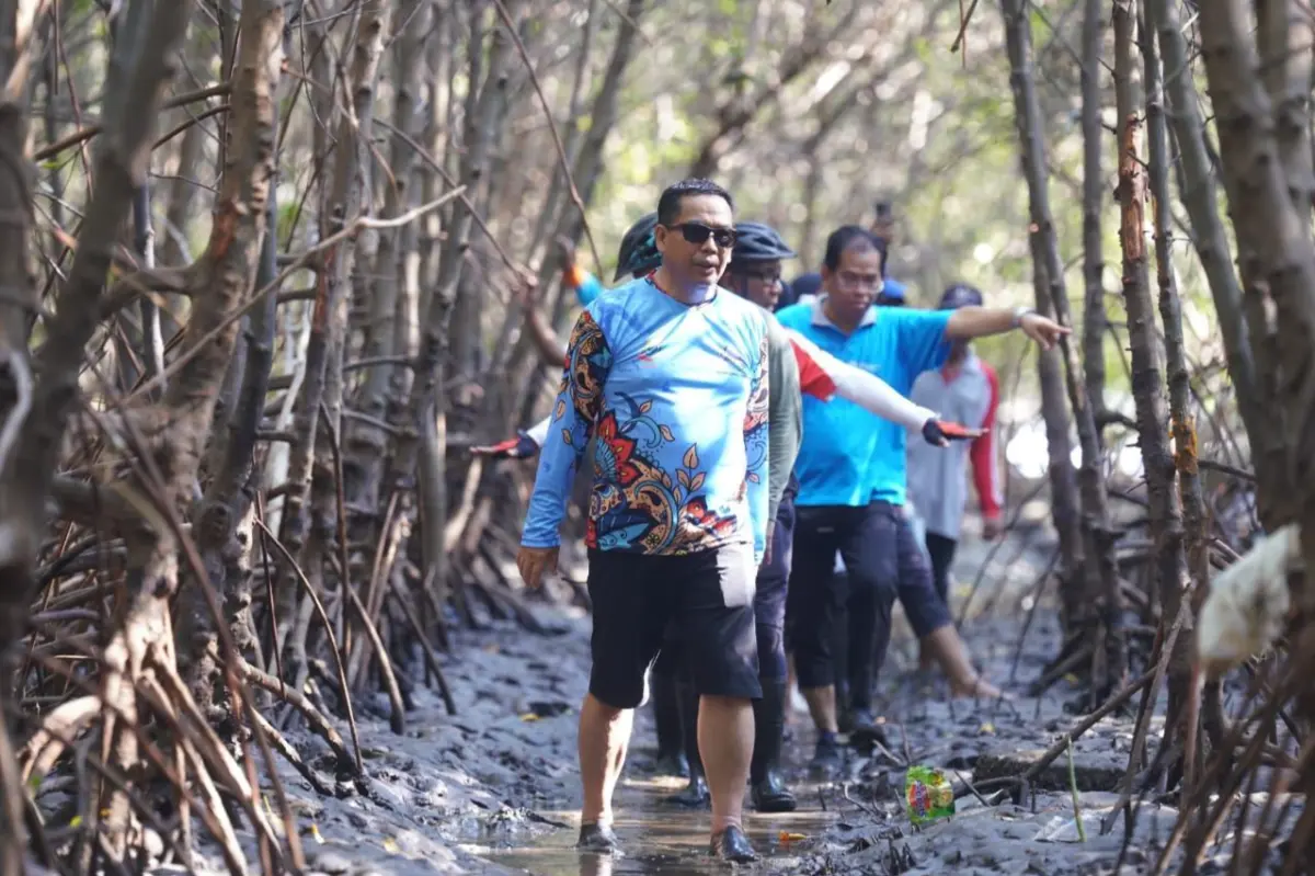 Wali Kota Probolinggo beserta rombongan menyusuri hutan bakau. (Foto: Humas Pemkot Probolinggo For TIMES Indonesia)