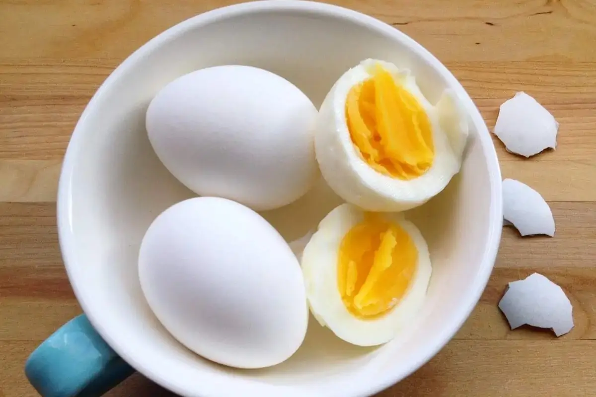 Telur Rebus Basi