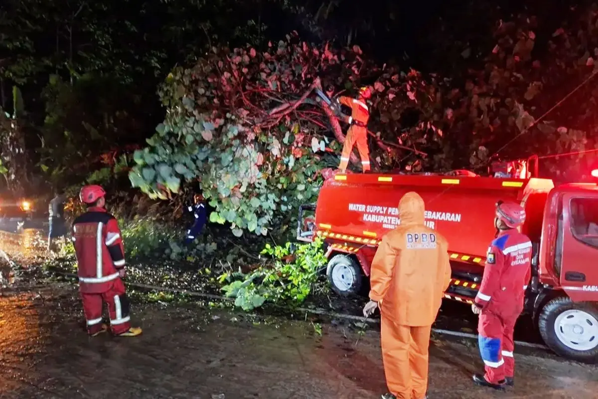 Cuaca Ekstrem di Talagasari Cianjur, Dua Pohon Waru Tumbang Sempat Tutup Akses Jalan