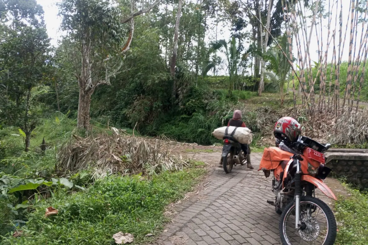 Lansia Kembali Dilaporkan Hilang di Banyuwangi, Tim Gabungan Sisir Lakukan Pencarian