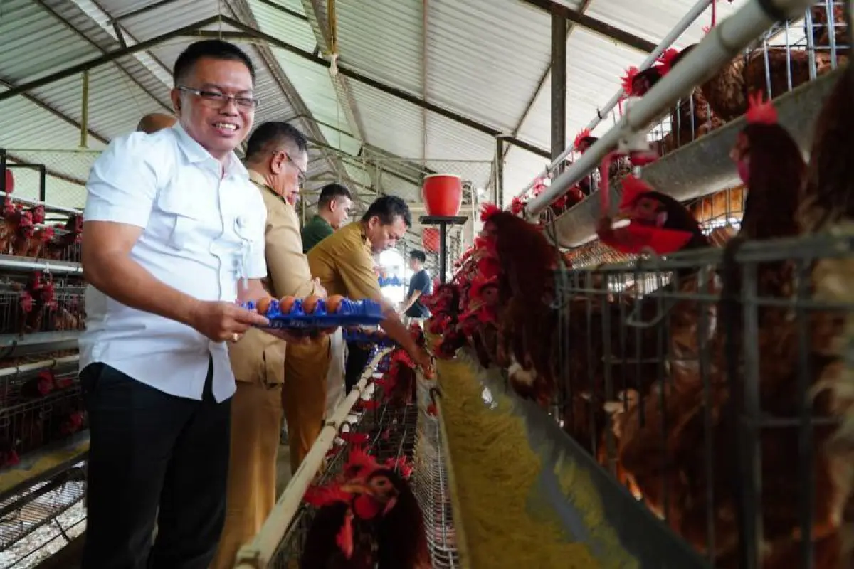 Bapanas Gandeng Produsen DOC dan Pakan untuk Stabilkan Harga Ayam Pasca-Lebaran 2026