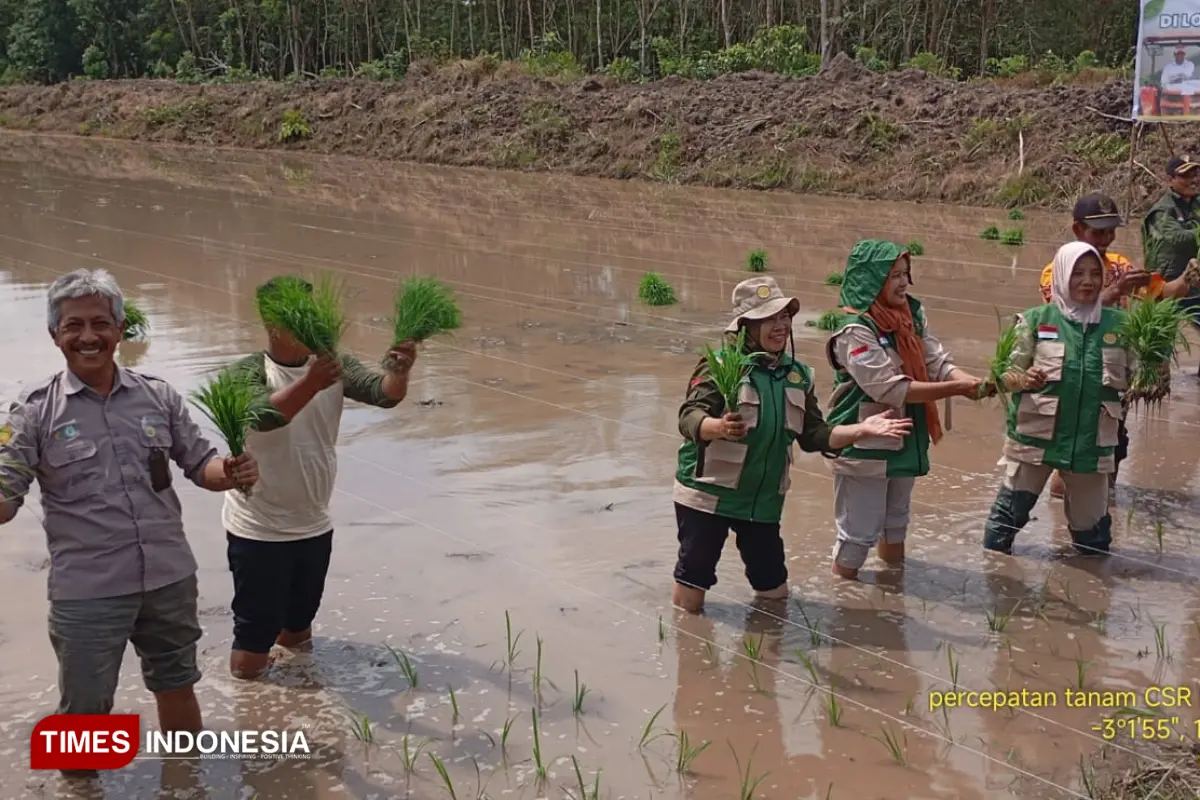 Polbangtan Malang Kawal Tanam Serempak CSR di Kalteng, Tembus 4.105 Hektare
