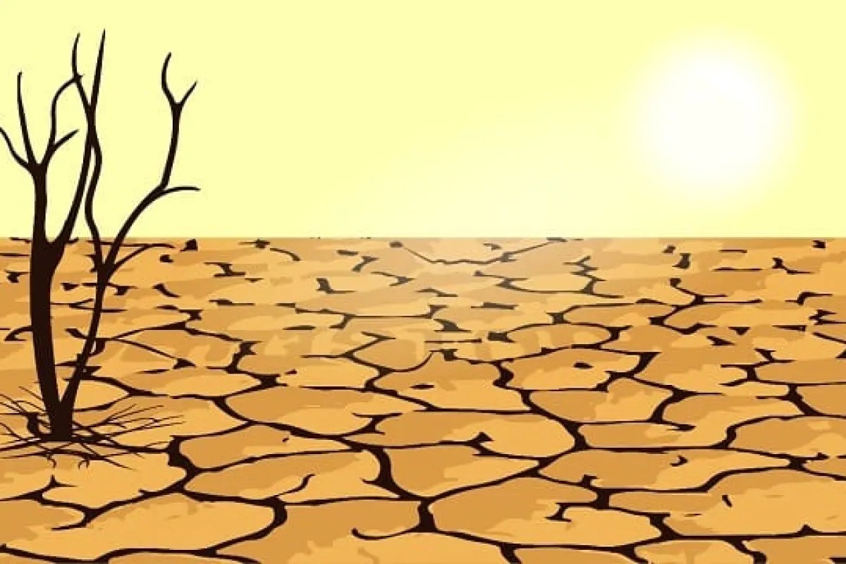 Prediksi Dampak El Nino, Bupati Bantul: Kemarau Lebih Kering Mulai Juni 2026