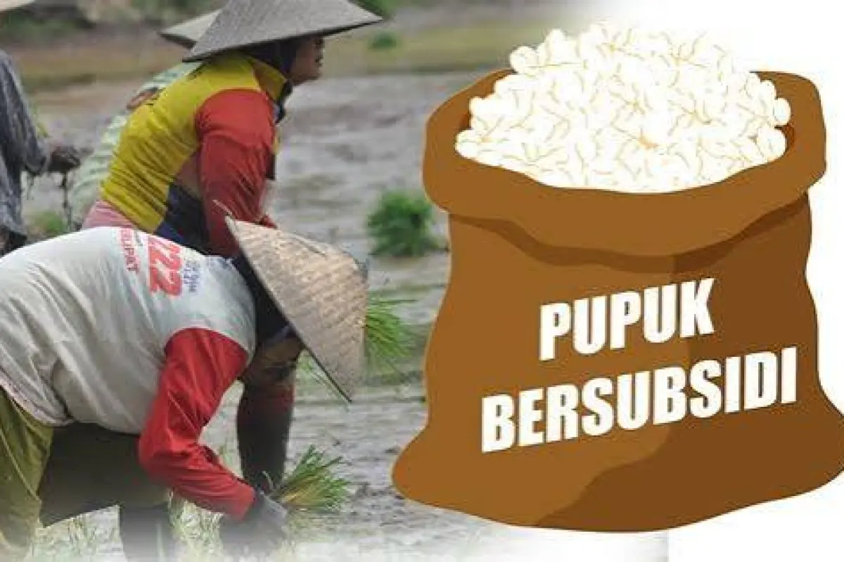 Distribusi Pupuk Bersubsidi 2026 Dimulai di Bantul, Realisasi Baru 15 Persen