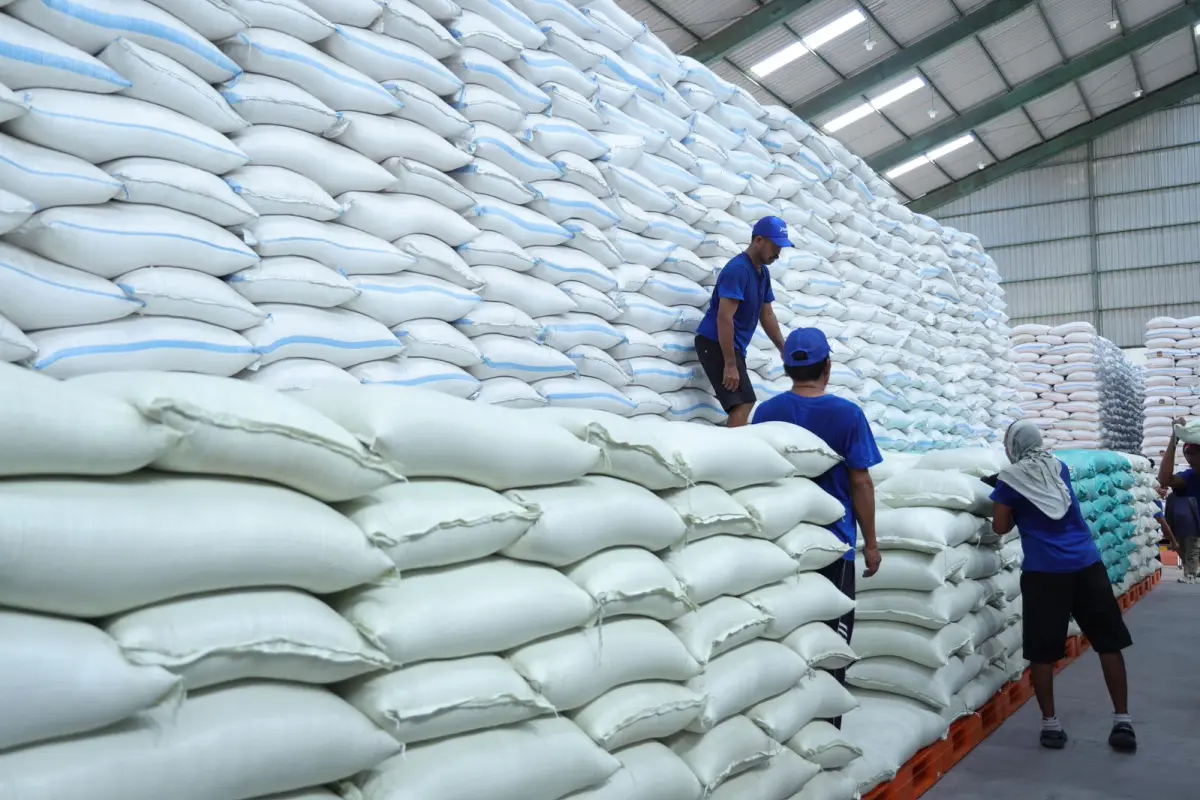 Gudang Bulog Penuh, Akademisi Yakin Swasembada Pangan Terwujud