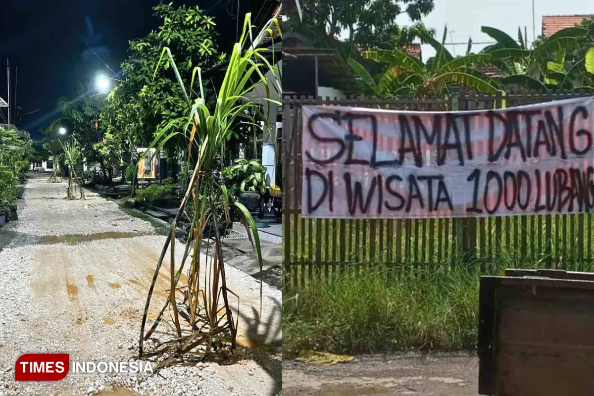 Rusak dan Banjir, Warga Batursari Pati Protes dengan Tanam Tebu di Jalan Desa