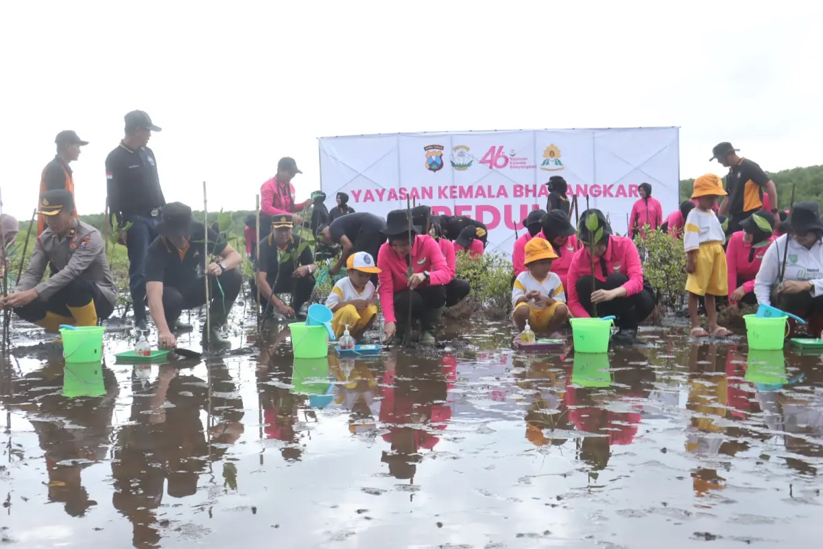 penanaman mangrove 2