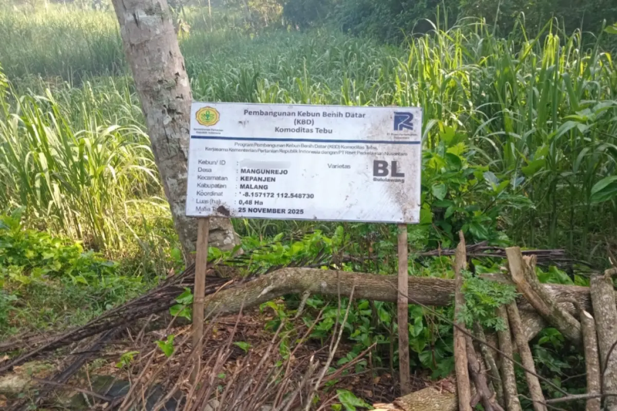 Lahan Petani di Malang Tiba-Tiba Diklaim Jadi Tempat Pembibitan oleh Kementrian Pertanian dan PT RPN