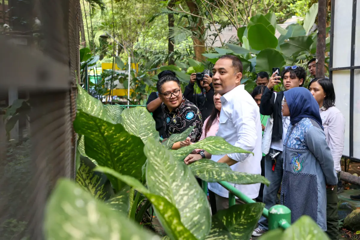 Wajah Baru KBS: Dari Koleksi Satwa Jepang hingga Konsep Plaza yang Lebih Terbuka