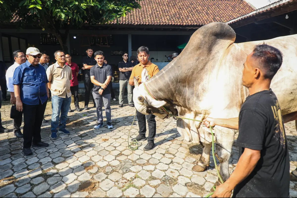 Berkah Setia Farm Jadi Contoh Peternakan Modern Berbasis Teknologi di Jateng