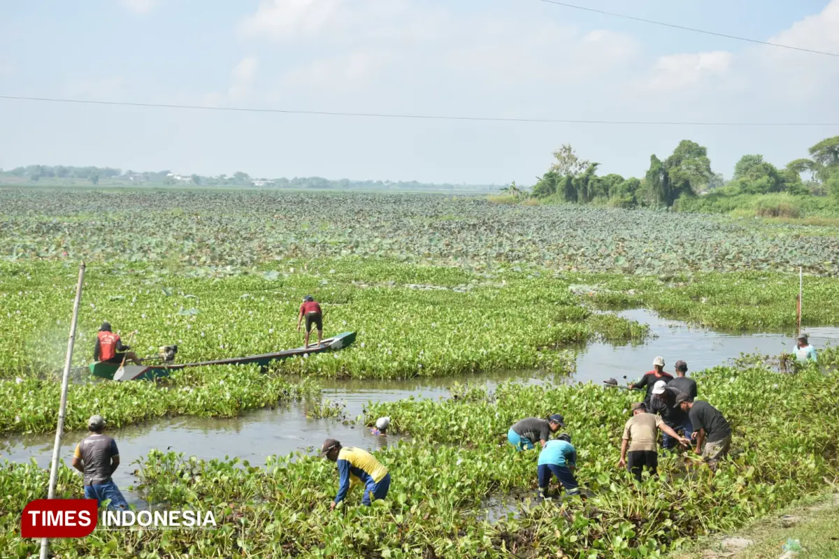 Embung Sumengko, Desa Tambakmenjangan