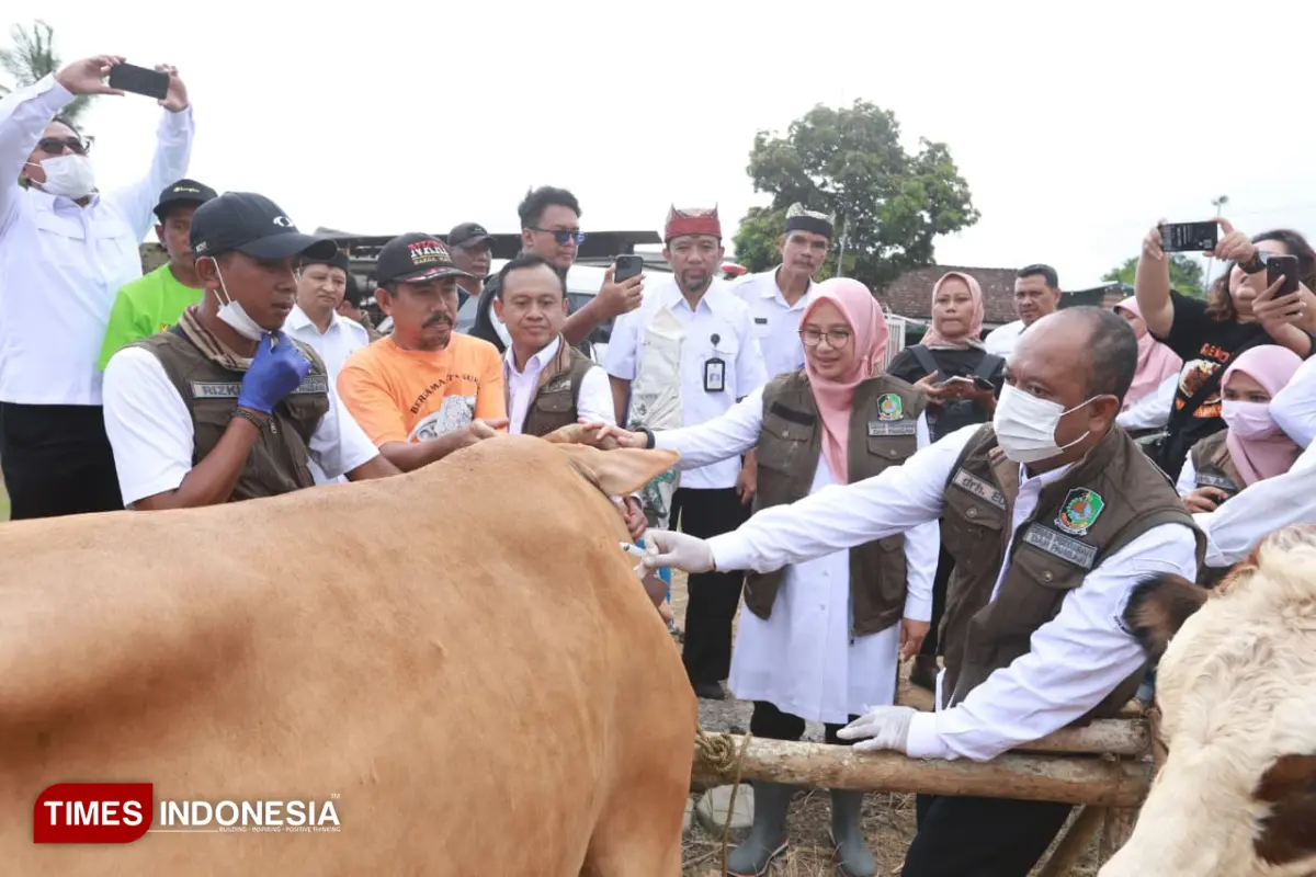 Banyuwangi Kebut Vaksinasi PMK dan Perketat Lalu Lintas Ternak Jelang Idul Adha