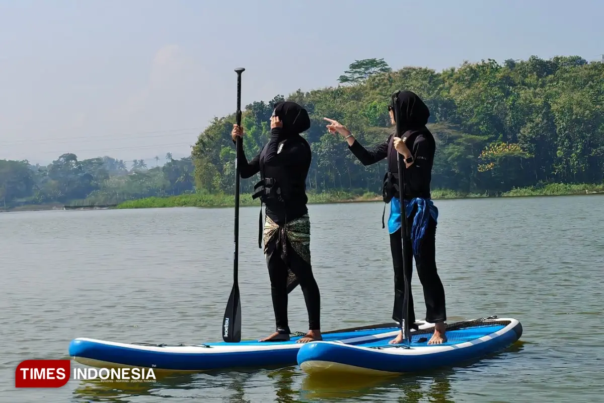 Paddle Board
