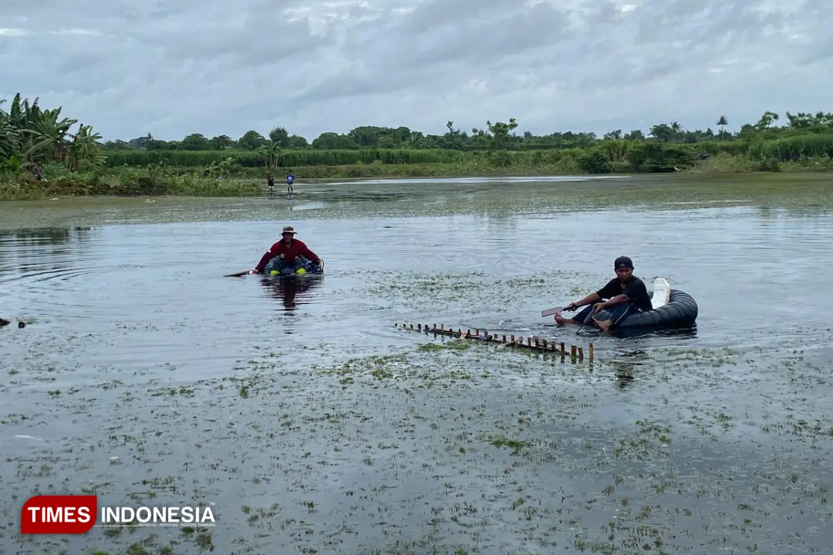 Warga dan Mahasiswa di Banyuwangi, Sulap Bekas Galian C Jadi Kolam Budidaya Ikan