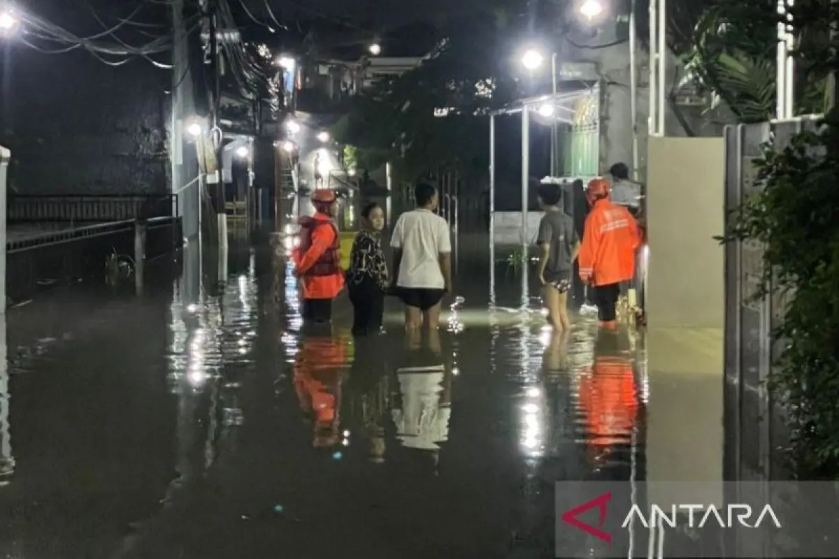 Cuaca Ekstrem di Bogor: Satu Warga Meninggal Tertimpa Pohon, Puluhan Rumah Terdampak
