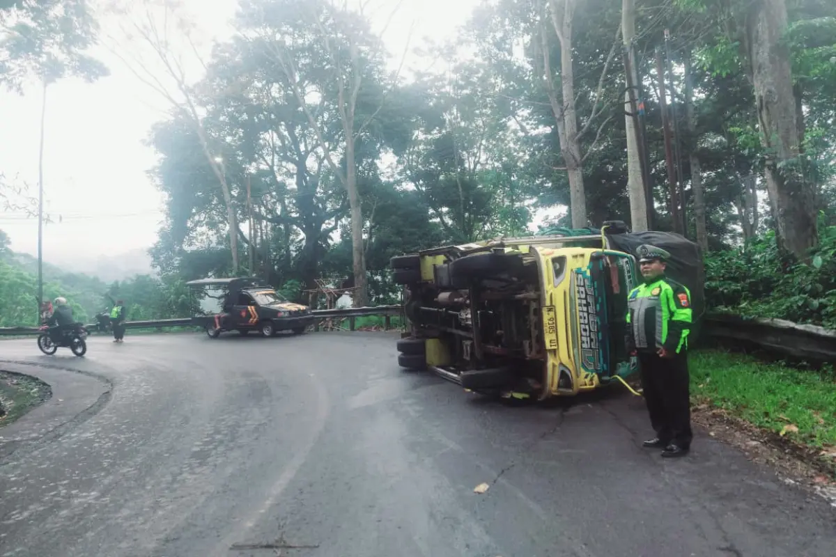 Truk Pengangkut Snack Terguling di Tikungan Gumitir Jember-Banyuwangi