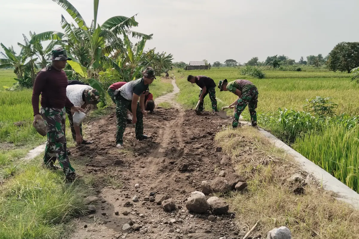 TMMD 128 Gresik Bangun Jalan Usaha Tani Lingsir, Perkuat Akses Panen Petani