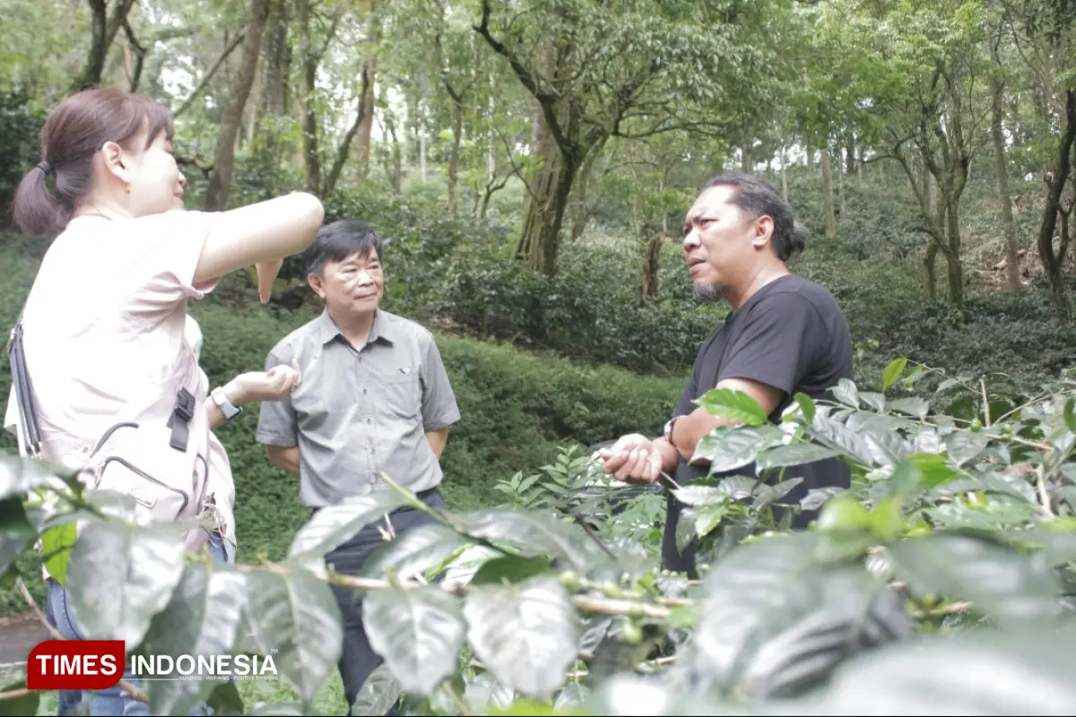 Kopi Bondowoso Dilirik Lembaga Keuangan di Singapur, Peluang Buka Pasar ke Eropa