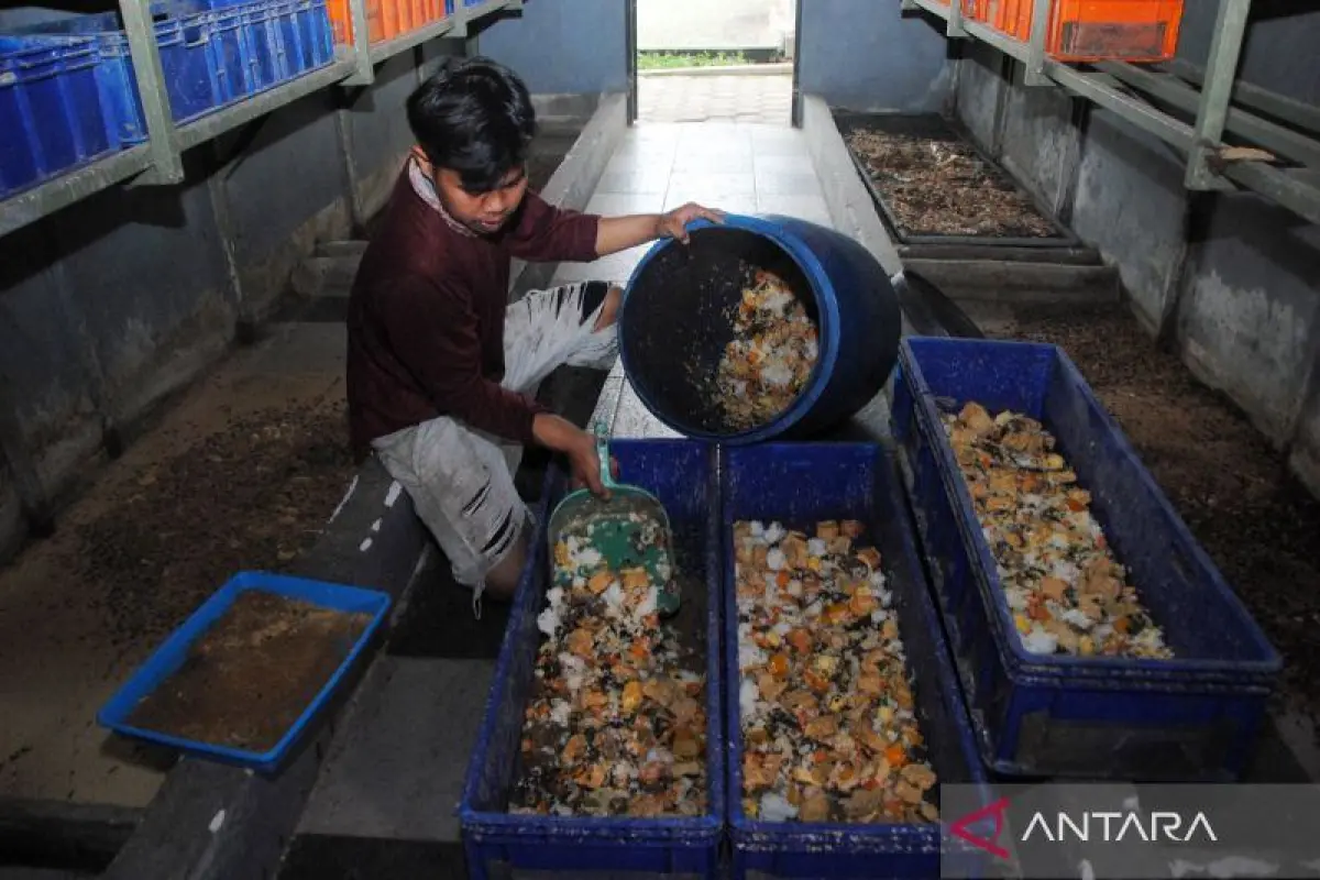 Atasi Limbah Program MBG, BRIN Tawarkan Teknologi Pengolahan Jadi Energi