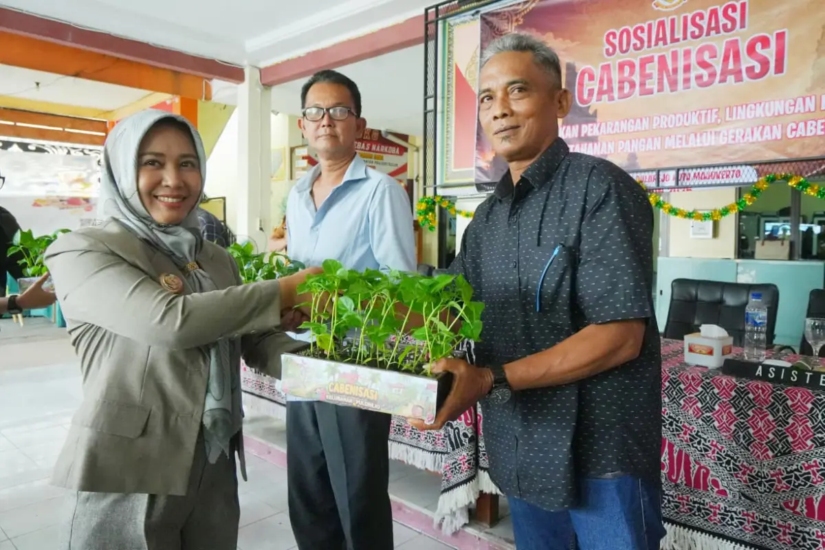 Pemkot Mojokerto Sediakan Bibit Cabai Gratis untuk Dukung Program Cabenisasi