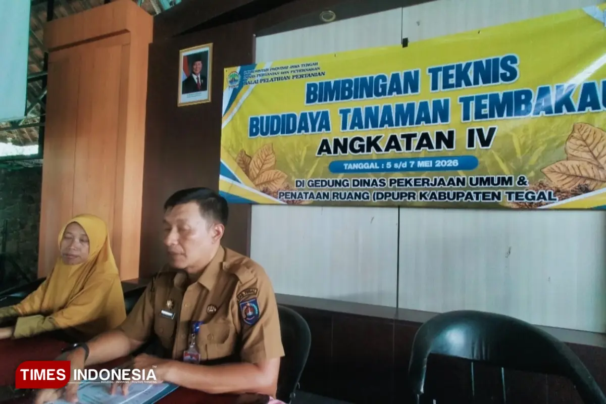 Tembakau Tegal Dilirik Industri, Mimpi Besar Petani Mulai Terbuka
