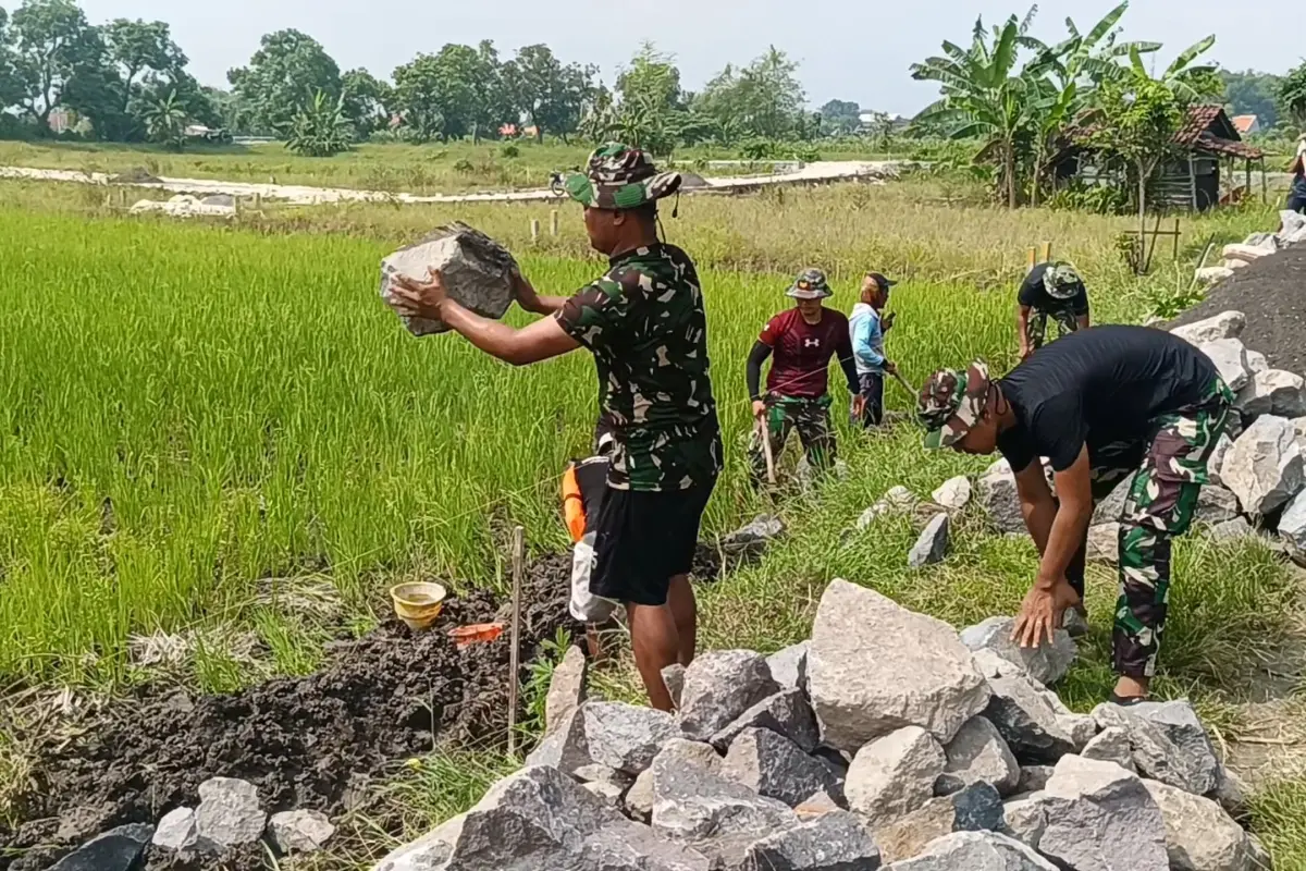 TMMD 128 Gresik Hidupkan Gotong Royong di Sawah Slempit Lewat Pembangunan TPT