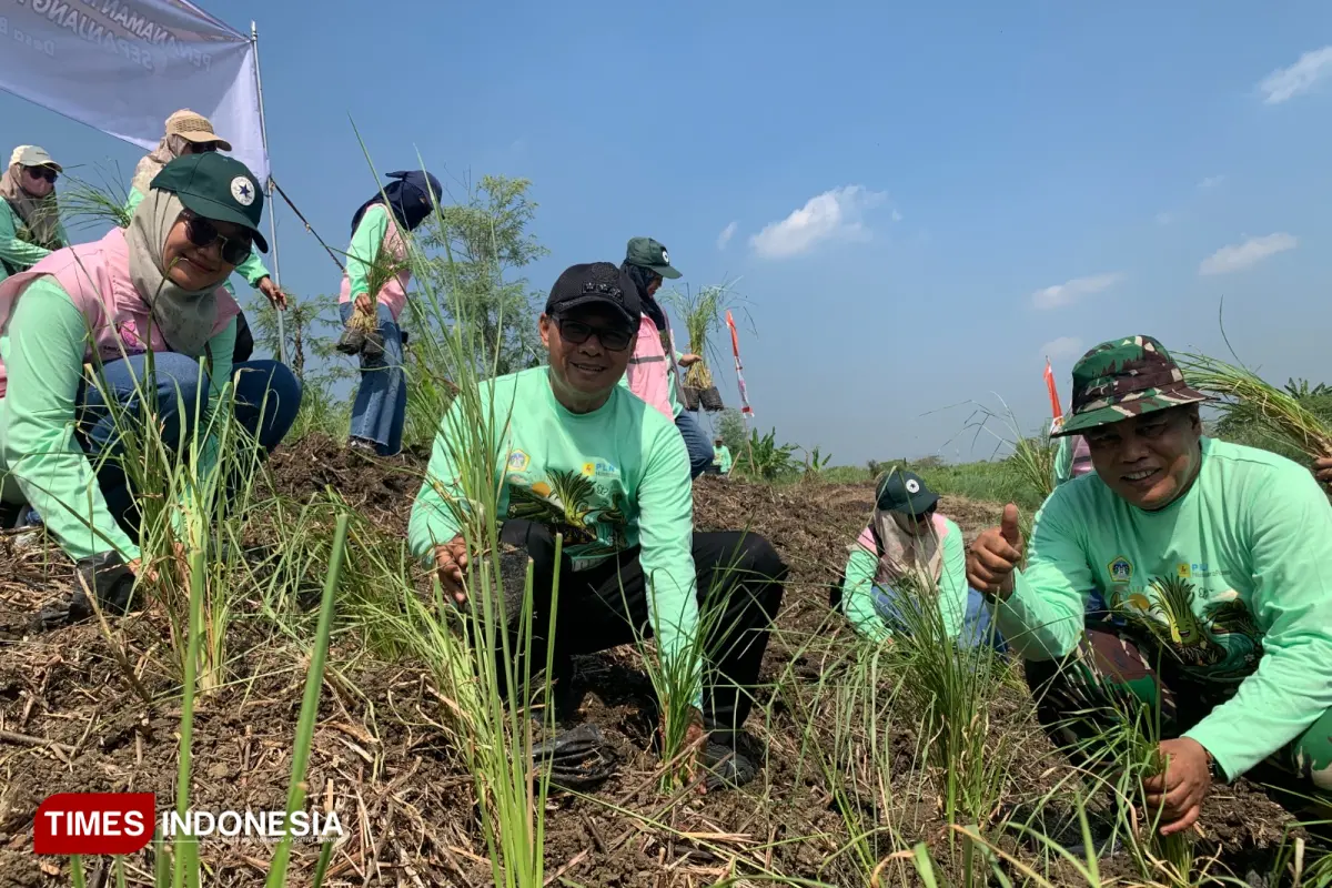 Mitigasi Banjir, Ribuan Bibit Rumput Vetiver Ditanam di Kali Lamong Gresik