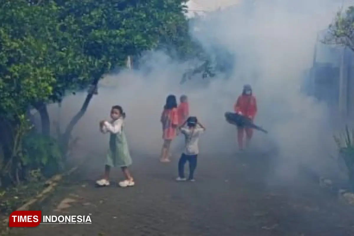 Waspada Chikungunya, Dinkes Gresik Catat 41 Kasus Suspek di Awal 2026