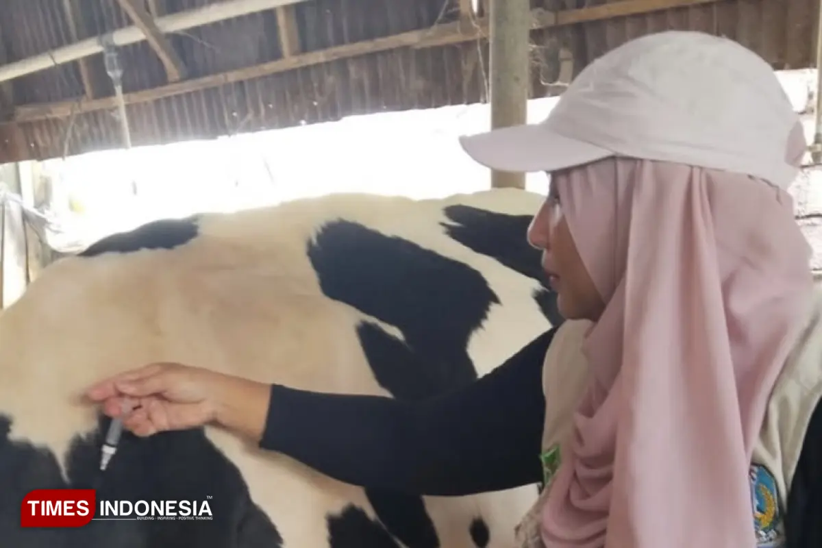 Jelang Idul Adha, Kota Batu Genjot Vaksin PMK dan Sidak Hewan Kurban