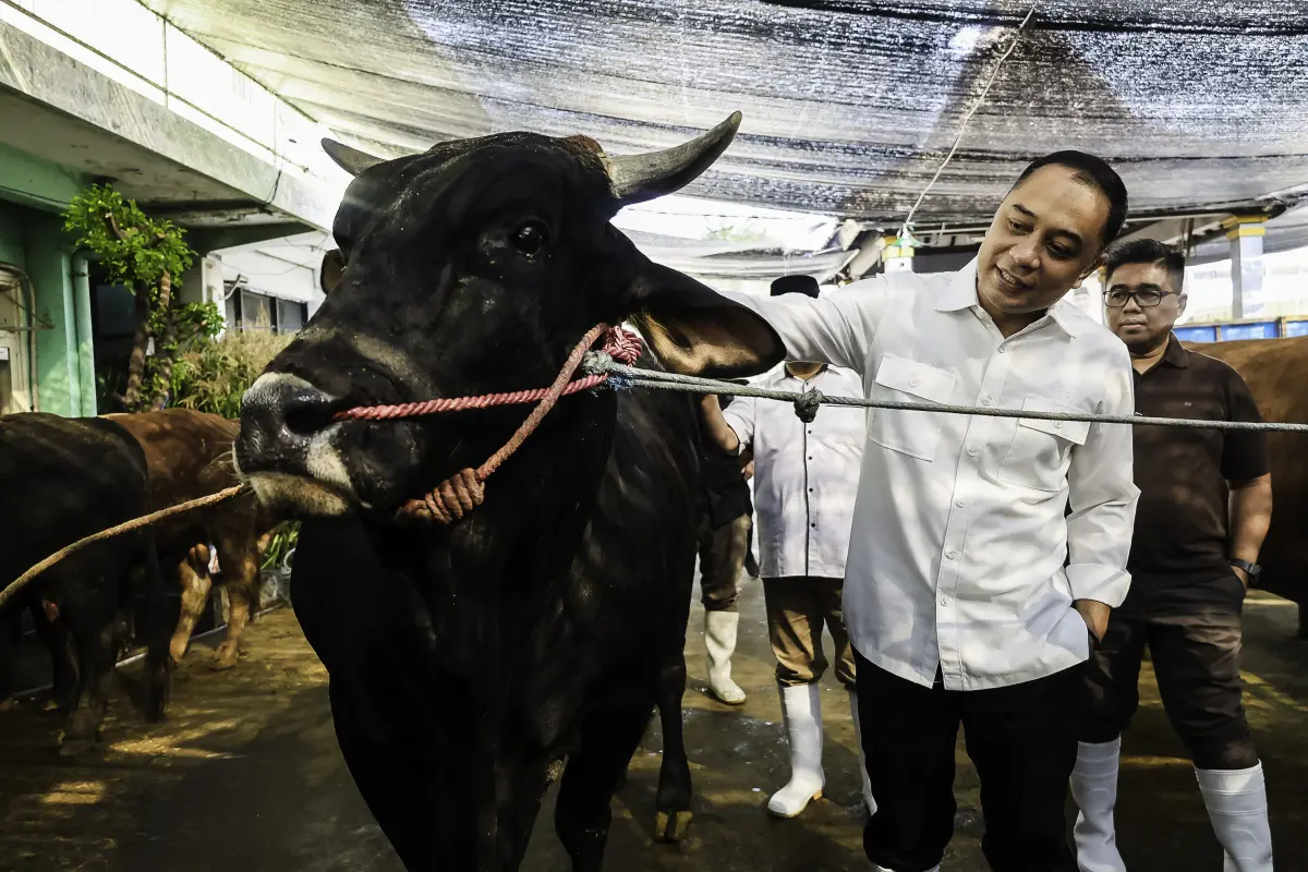 Syarat Ketat Kurban di Surabaya: Wajib Vaksin PMK hingga Aturan Lokasi Penjualan