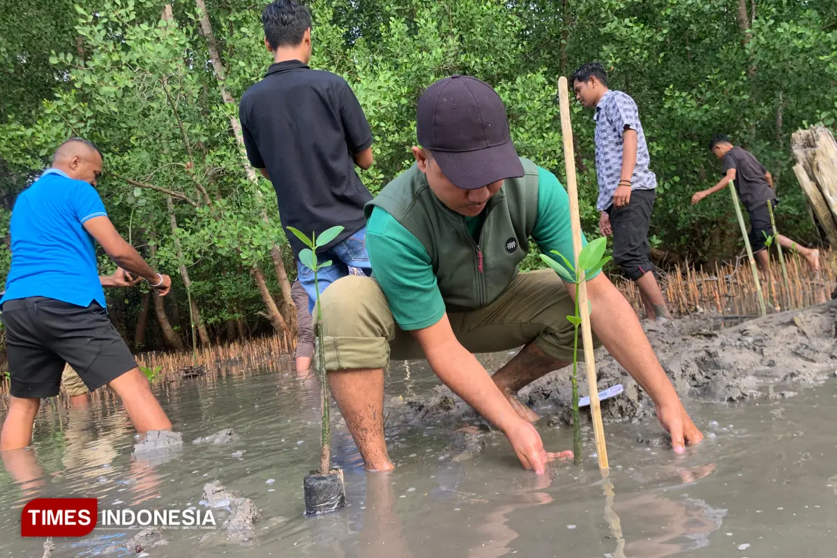 Libatkan Masyarakat Pesisir, GAMKI Sumba Timur Hijaukan Pantai dengan 2.500 Mangrove