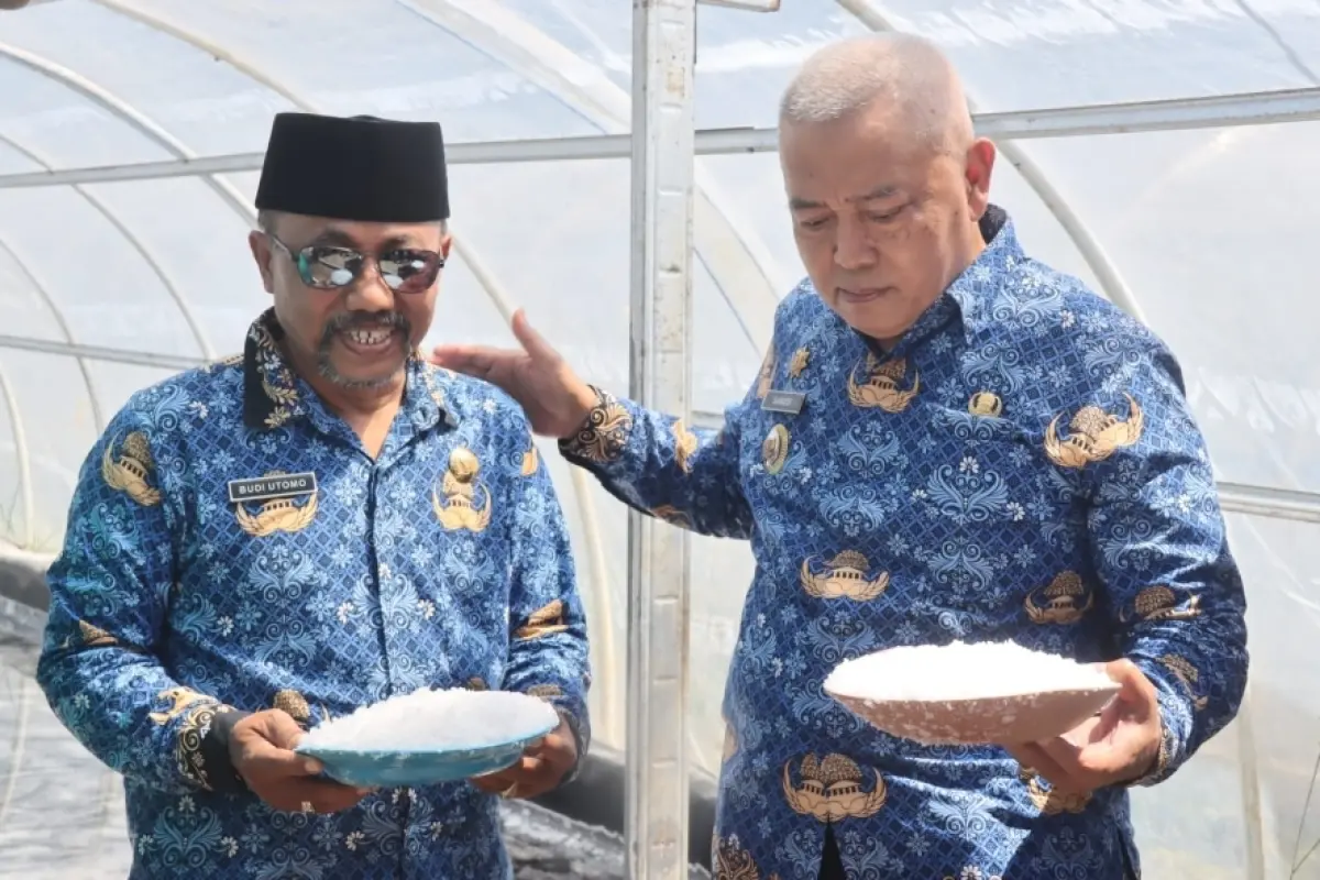 Produksi Garam Tunnel Sumberoto Kabupaten Malang Tembus 8 Ton per Bulan