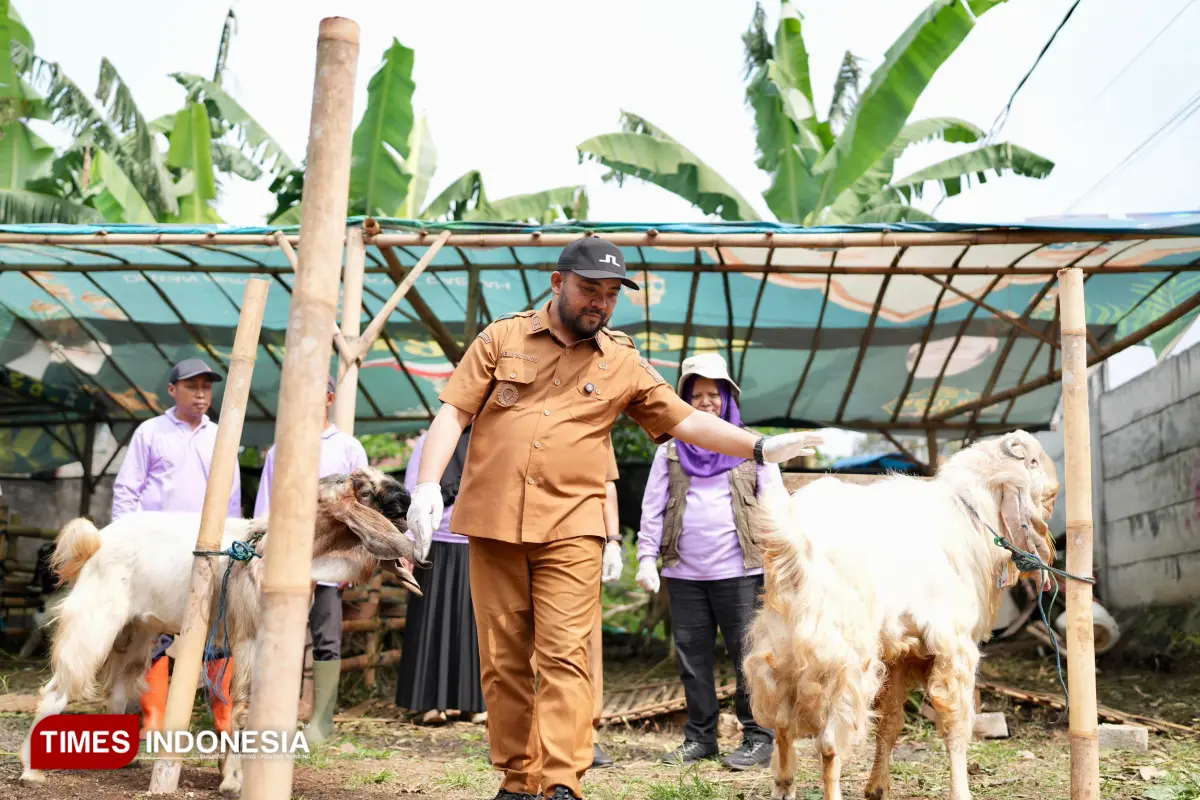 Sidak Hewan Kurban di Kota Batu Mengejutkan, Begini Temuannya